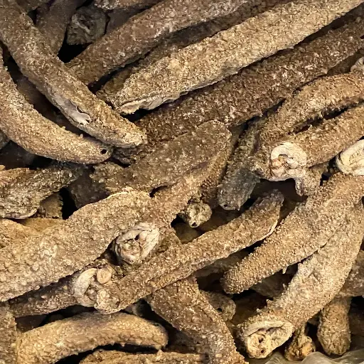 幹海參（中東產地）